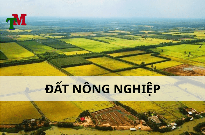 Lấn chiếm đất nông nghiệp bị xử lý như thế nào? 1 đất nông nghiệp