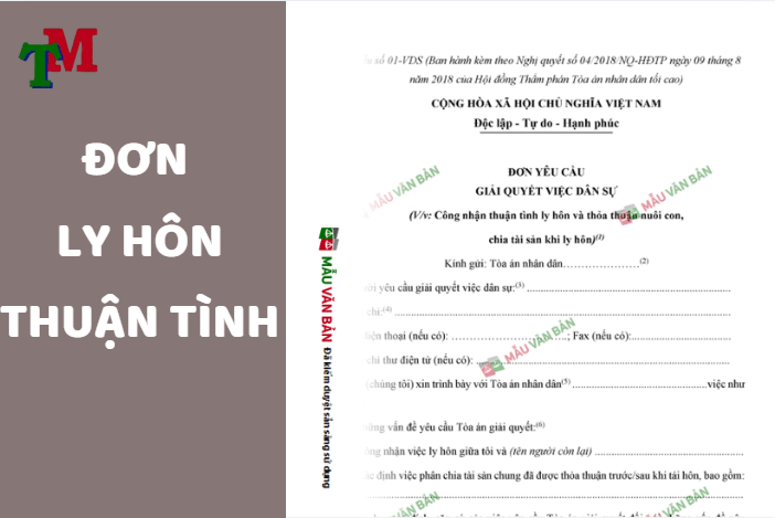 đơn thuận tình ly hôn