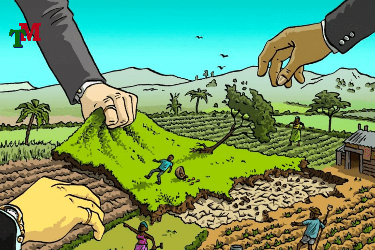 tranh chấp đất đai