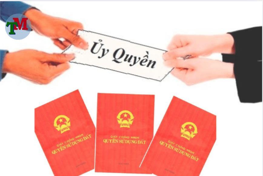 Ủy quyền tách thửa thực hiện như thế nào? Mẫu giấy ủy quyền mới nhất 2 ủy quyền