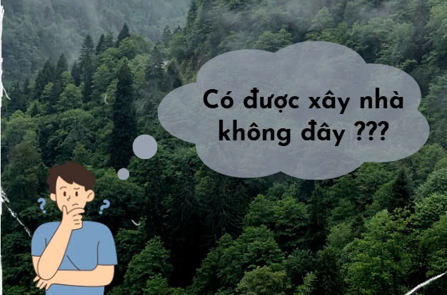 Đất trồng cây lâu năm có được xây nhà không? - Những quy định bạn nên biết 2 xây nhà trên đất lâu năm