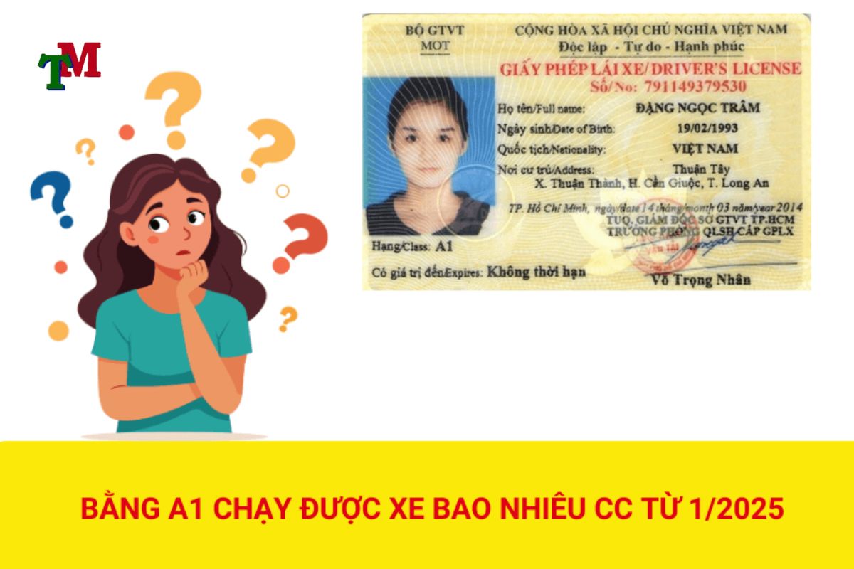 Bằng lái xe a1 - Quy trình thi bằng lái xe A1