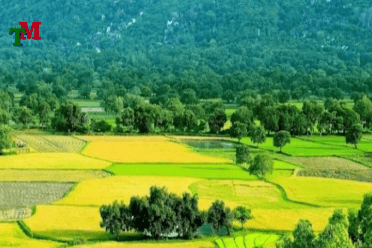 lấn chiếm đất