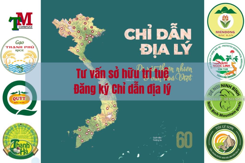 Sở hữu trí tuệ 7 Sở hữu trí tuệ - Chỉ dẫn địa lý