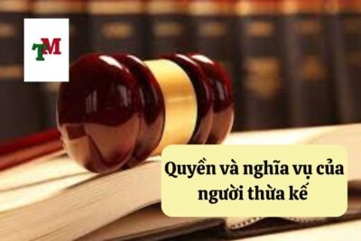 16.5.6 Quyen va nghia vu cua nguoi thua ke