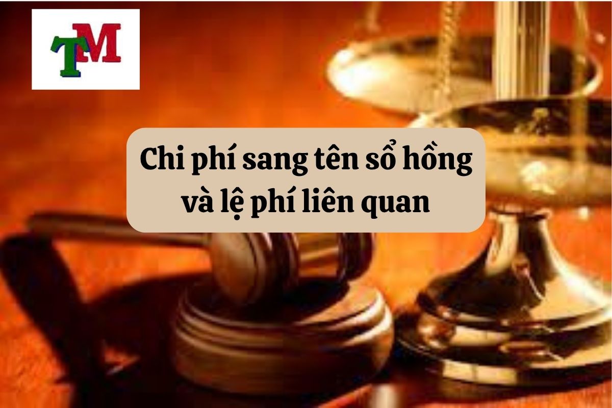 30.5.1 Chi phi sang ten so hong va le phi lien quan