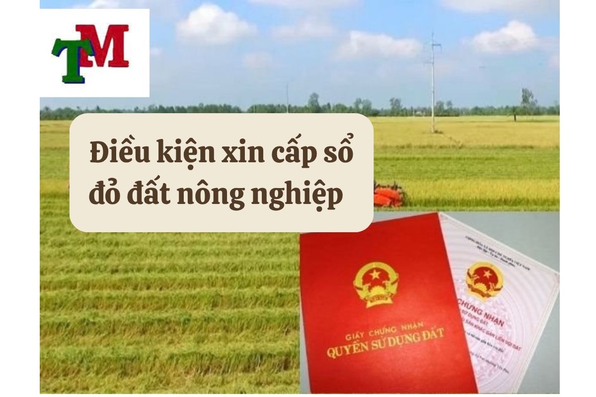 Đất Nông Nghiệp Có Được Cấp Sổ Đỏ Không? Điều Kiện và Cách Làm 2 30.5.10 Dieu kien xin cap so do dat nong nghiep
