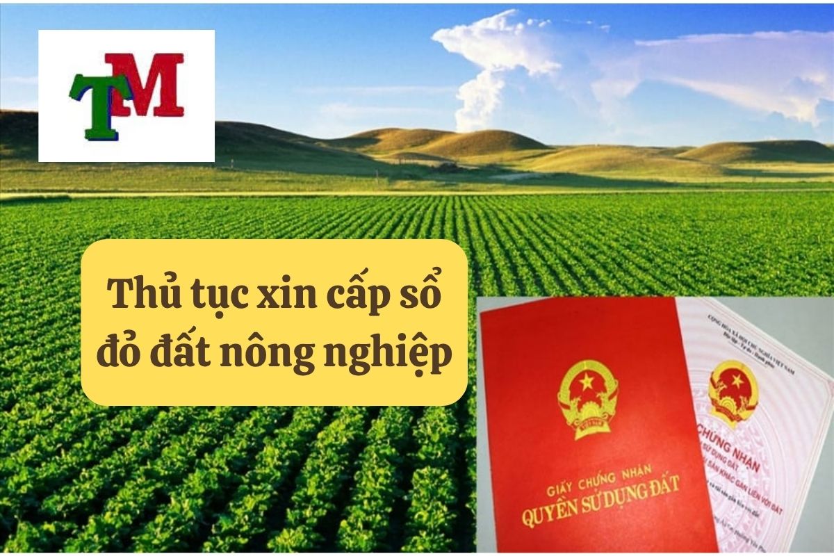 Đất Nông Nghiệp Có Được Cấp Sổ Đỏ Không? Điều Kiện và Cách Làm 3 30.5.10 Thu tuc xin cap so do dat nong nghiep