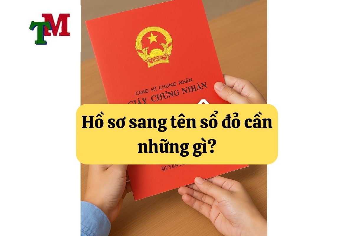 30.5.2 Ho so sang ten so do can nhung gi