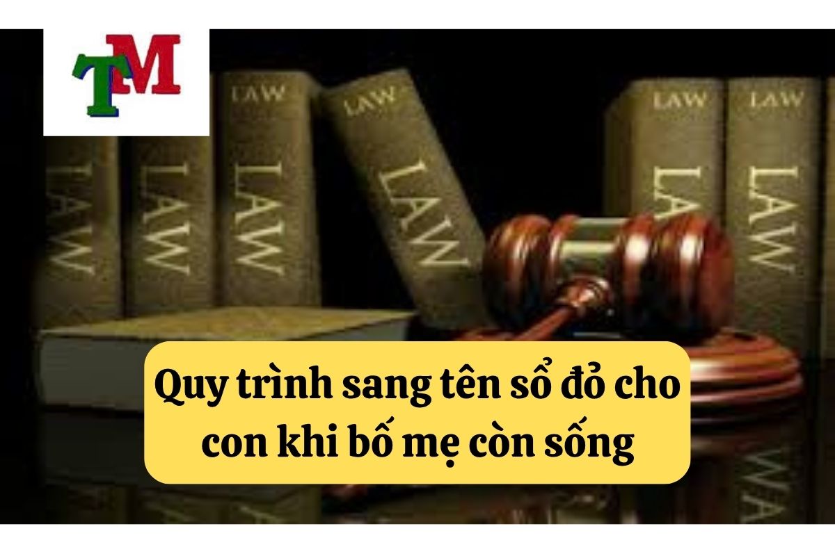 Thủ Tục Sang Tên Sổ Đỏ Cho Con: Cần Chuẩn Bị Gì? 3 30.5.3 Quy trinh sang ten so do cho con khi bo me con song