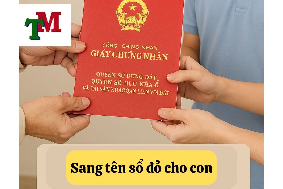 Thủ Tục Sang Tên Sổ Đỏ Cho Con: Cần Chuẩn Bị Gì? 1 30.5.3 Sang ten so do cho con