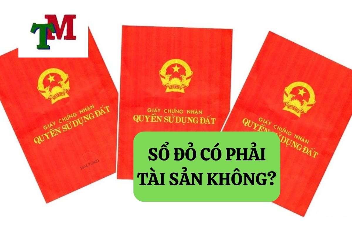 30.5.4 SO DO CO PHAI TAI SAN KHONG