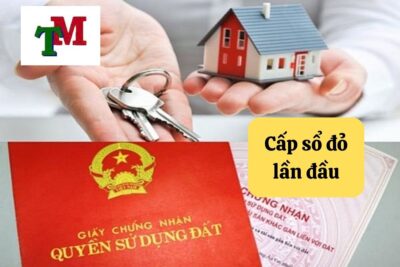 30.5.6 cap so do lan dau
