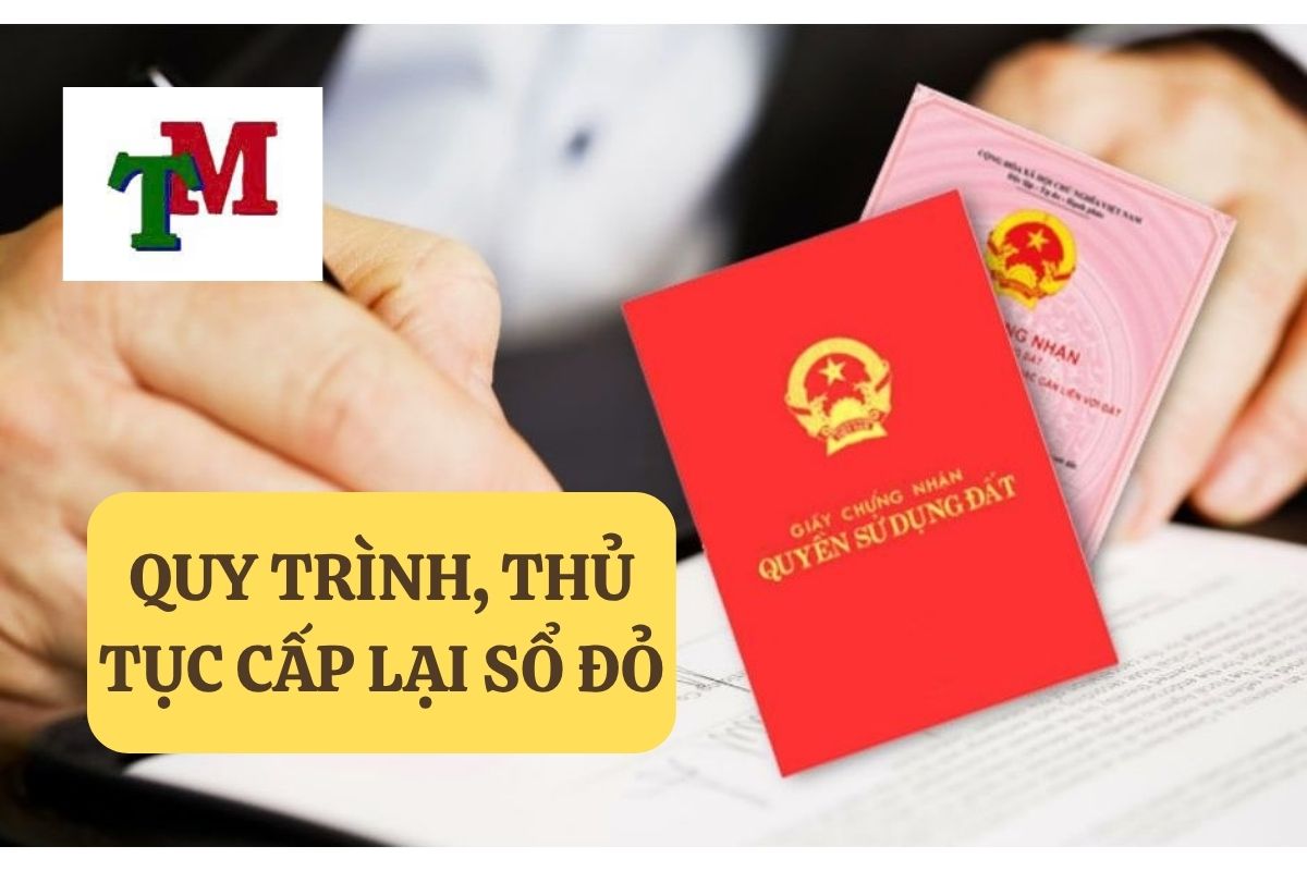 30.5.8 QUY TRINH THU TUC CAP LAI SO DO