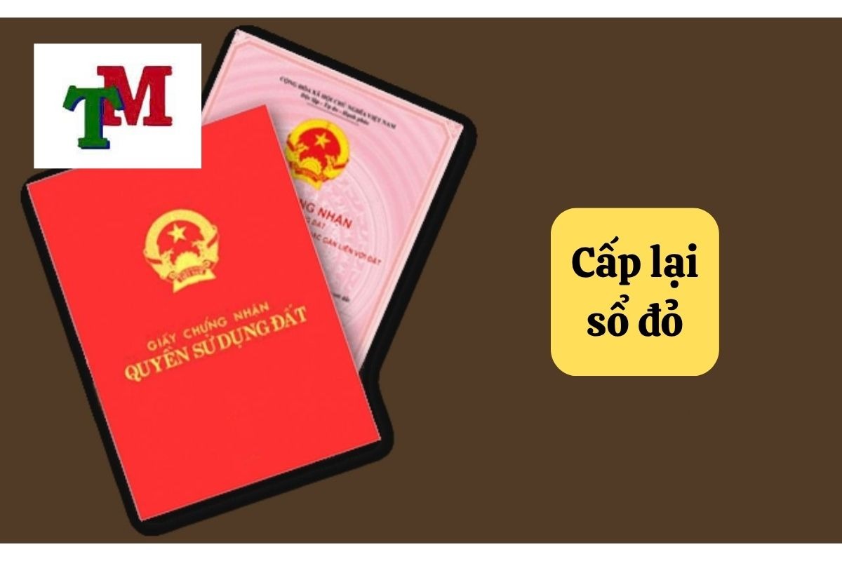 30.5.8 cap lai so do