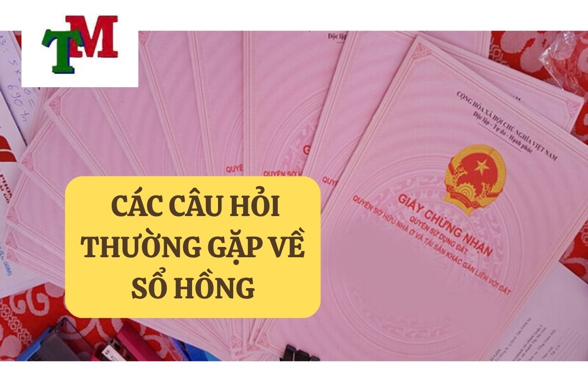 30.5.9 CAC CAU HOI THUONG GAP VE SO HONG
