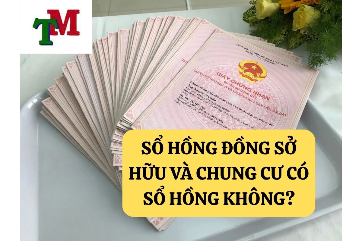 30.5.9 SO HONG DONG SO HUU VA CHUNG CU CO SO HONG KHONG