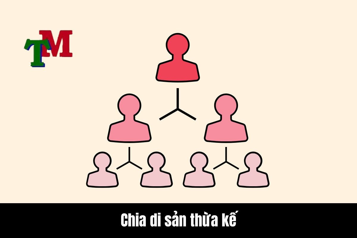 Chi phí làm thủ tục thừa kế: 05điều cần biết 2 Chia di sản thừa kế: Quy định và thực tiễn