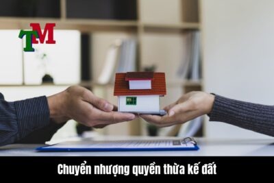 Chuyển nhượng quyền thừa kế đất là gì?
