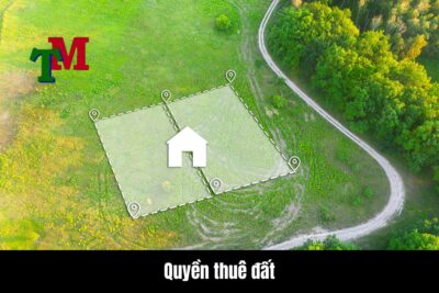 Chuyển nhượng quyền thuê đất
