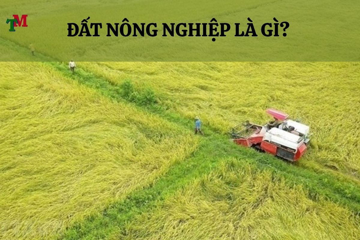 DAT NONG NGHIEP