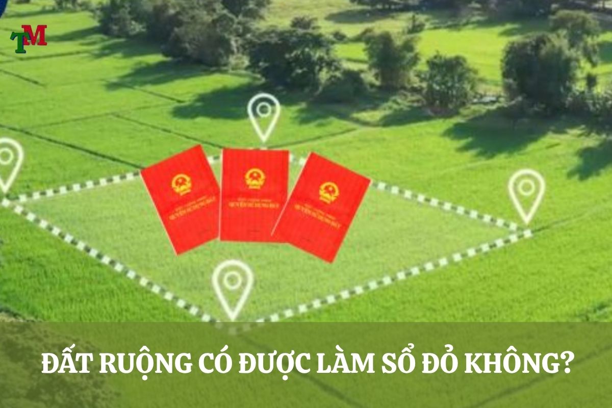 Giải đáp: Đất canh tác nông nghiệp (đất ruộng) có sổ đỏ không? 2 DAT RUONG CO DUOC LAM SO DO KHONG
