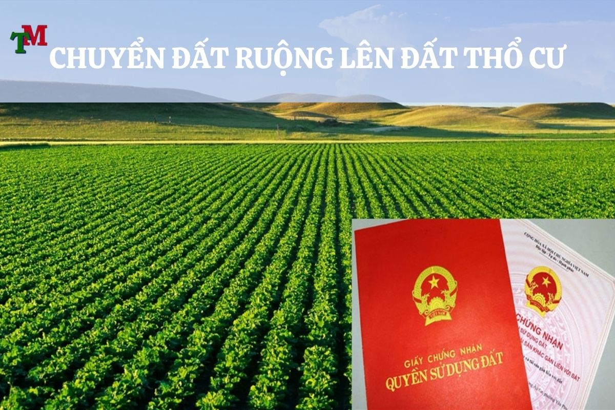 DAT RUONG DAT THO CU