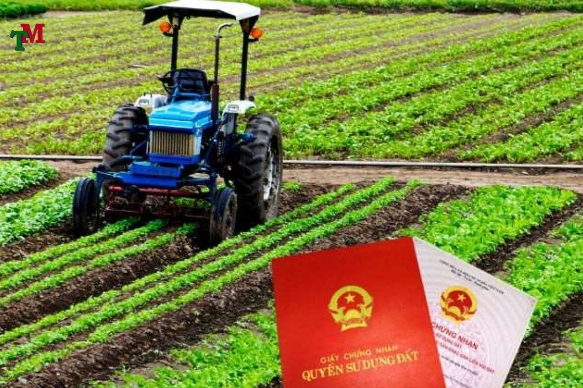 DEN BU DAT NONG NGHIEP 2