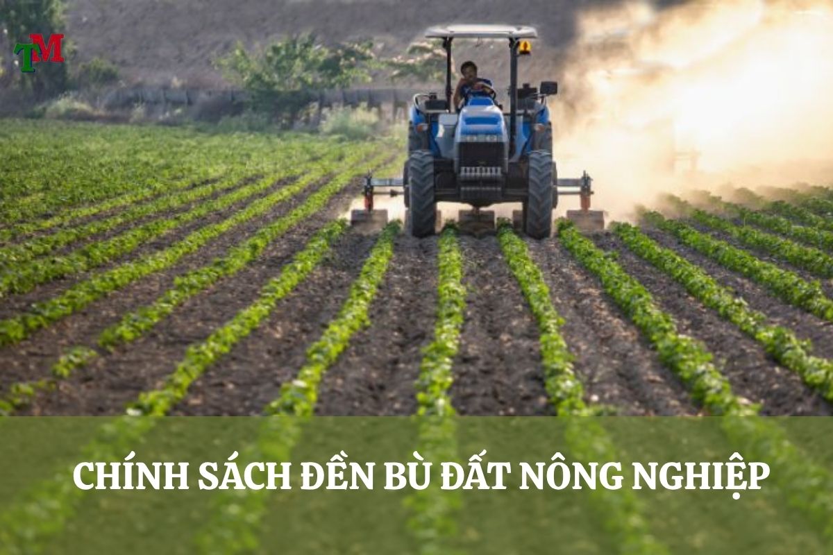 DEN BU DAT NONG NGHIEP