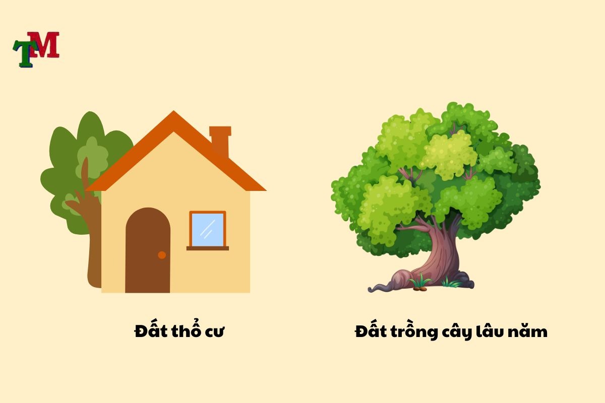 Đất trồng cây lâu năm lên thổ cư được không? 1 Dat trong cay lau nam len tho cu duoc khong 1