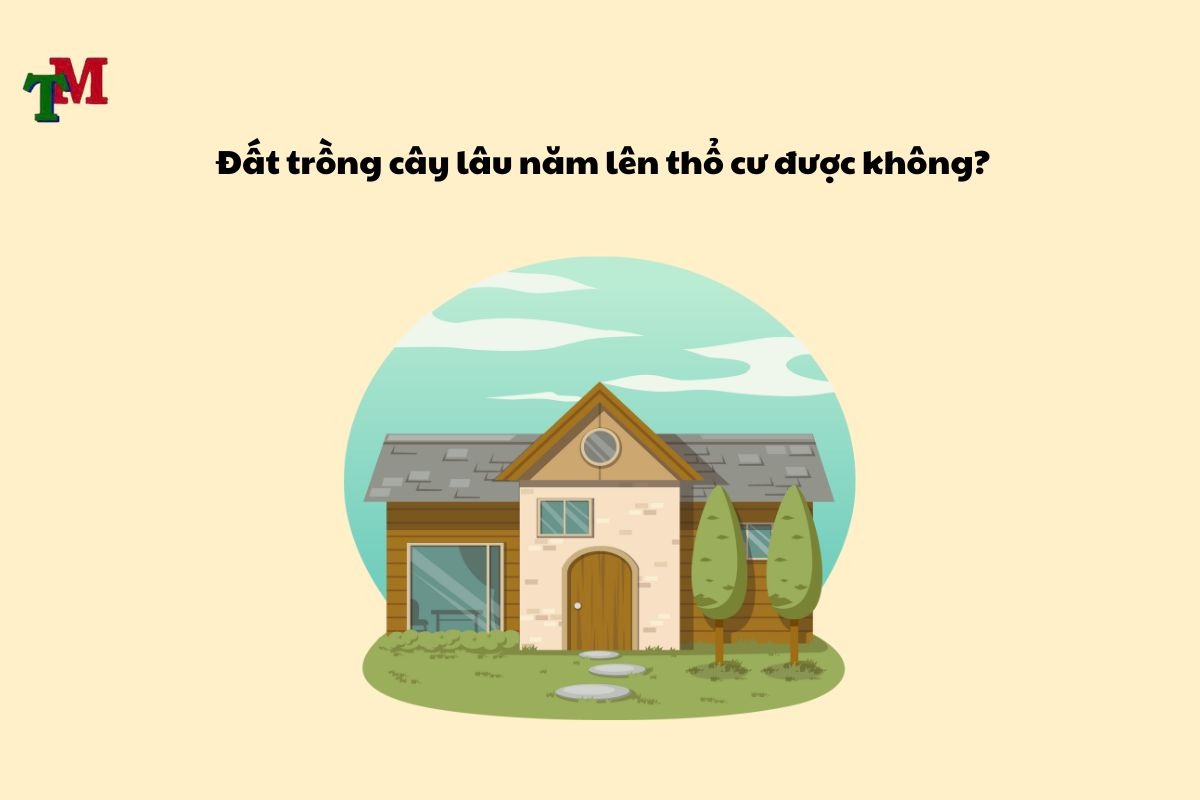 Đất trồng cây lâu năm lên thổ cư được không? 2 Dat trong cay lau nam len tho cu duoc khong 2
