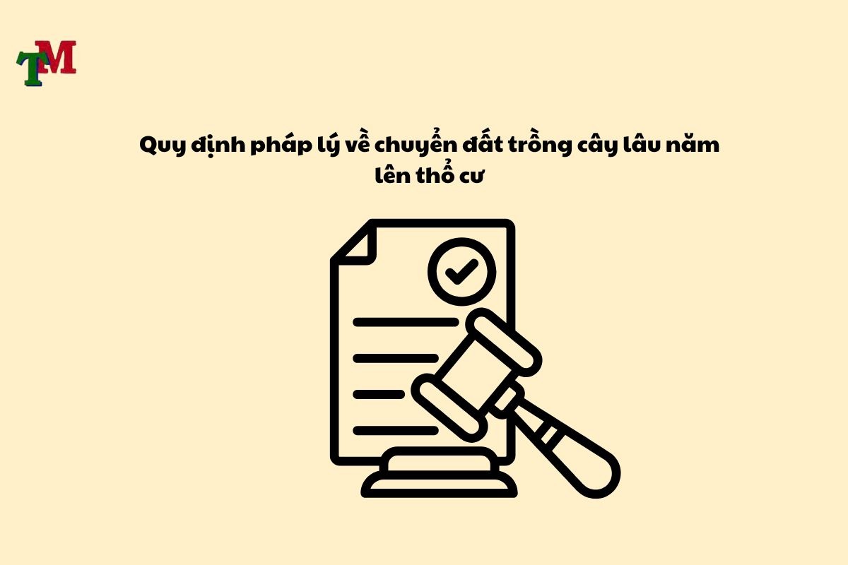 Đất trồng cây lâu năm lên thổ cư được không? 3 Dat trong cay lau nam len tho cu duoc khong 3