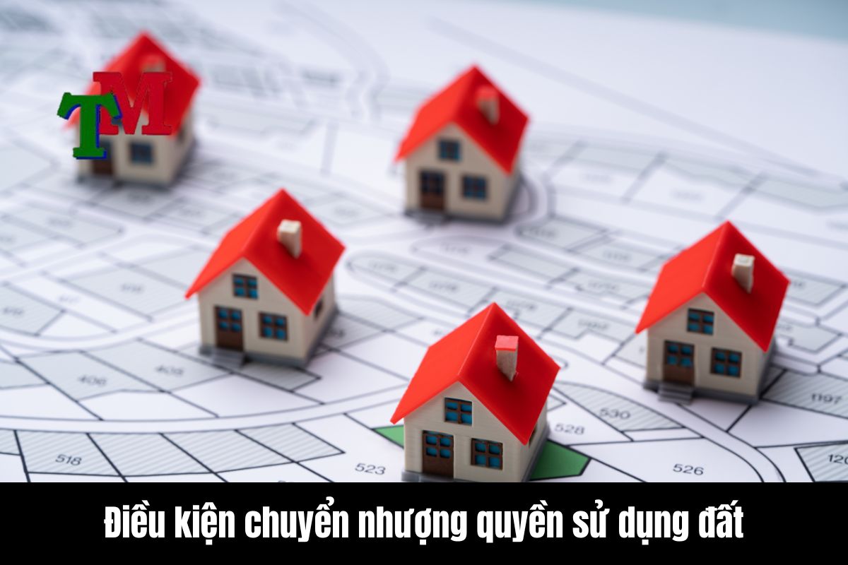 Điều kiện chuyển nhượng quyền sử dụng đất