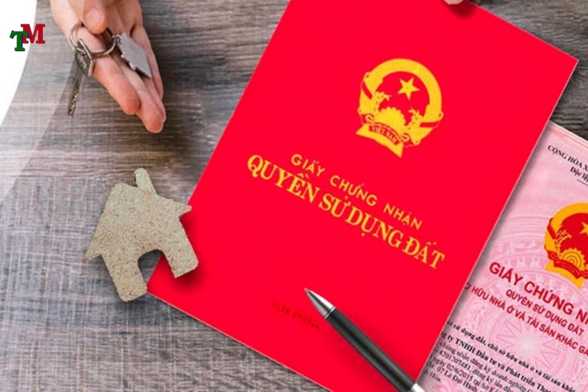 Bạn đã hiểu đúng về Giấy chứng nhận quyền sử dụng đất? Đọc ngay để tránh sai lầm 2 HÌNH THỨC GIẤY CHỨNG NHẬN QUYỀN SỬ DỤNG ĐẤT