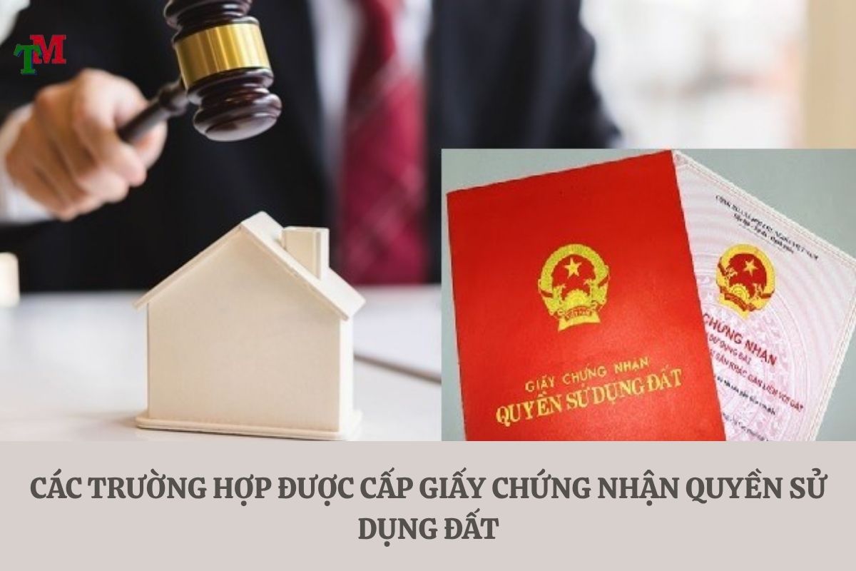 Bạn đã hiểu đúng về Giấy chứng nhận quyền sử dụng đất? Đọc ngay để tránh sai lầm 3 CÁC TRƯỜNG HỢP ĐƯỢC CẤP GIẤY CHỨNG NHẬN QUYỀN SỬ DỤNG ĐẤT