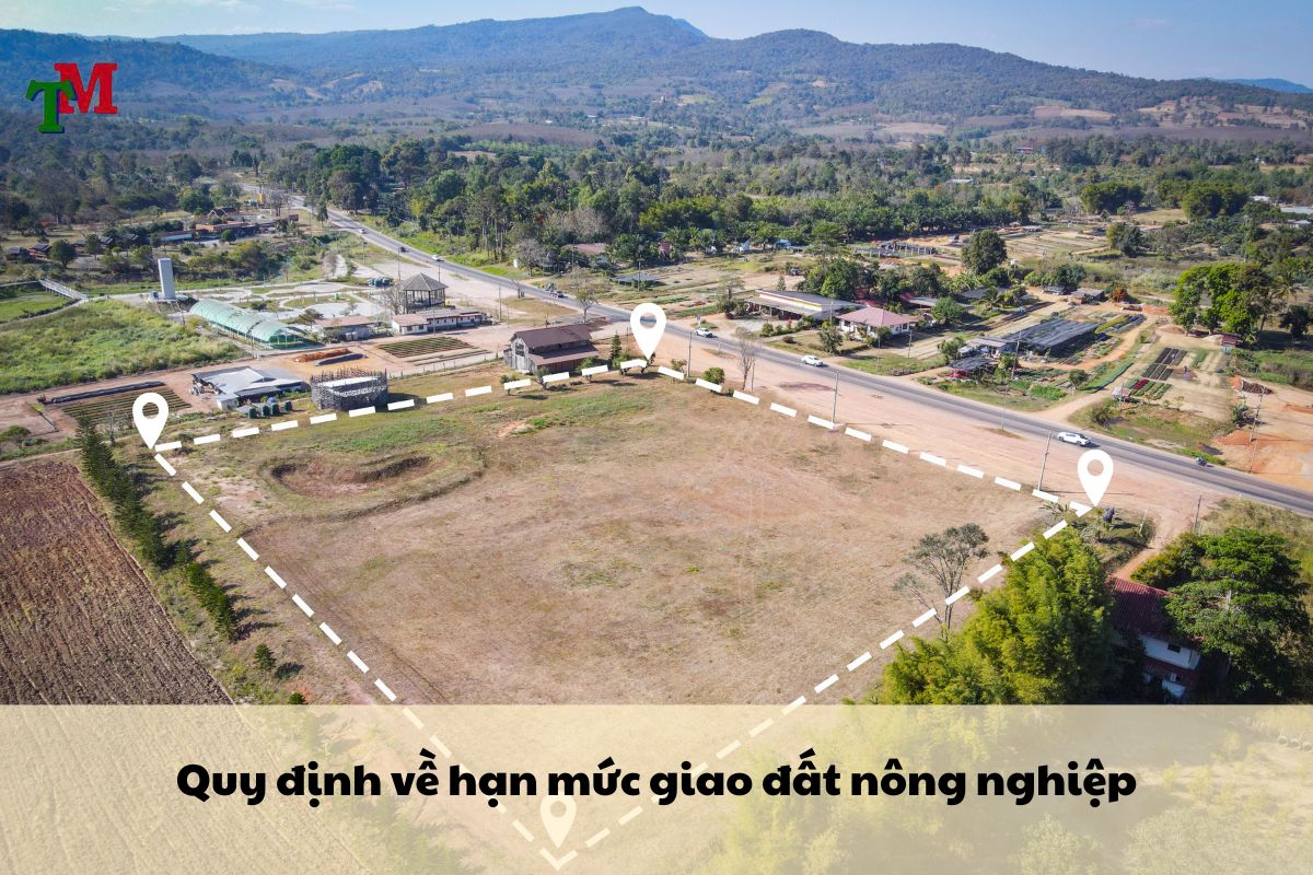 Hạn mức giao đất – Quy định mới nhất theo Luật Đất đai 2024 2 Quy định về hạn mức giao đất nông nghiệp