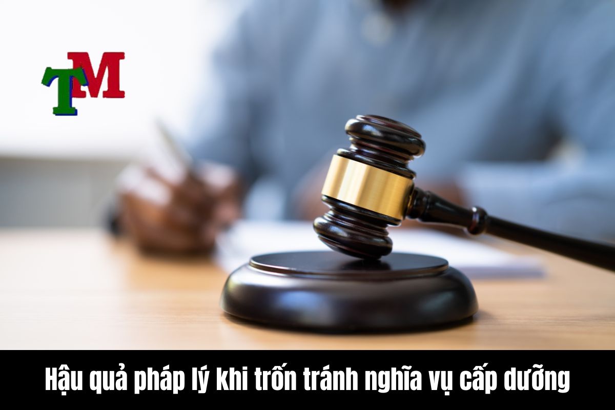 Hậu quả pháp lý khi trốn tránh nghĩa vụ cấp dưỡng
