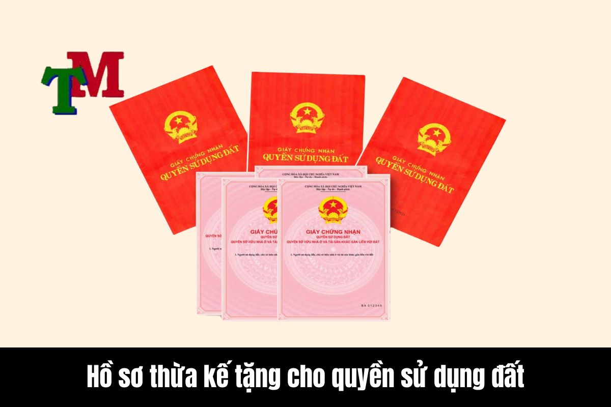 Tầm quan trọng của việc lập hồ sơ thừa kế đúng pháp lý 2 Hồ sơ thừa kế tặng cho quyền sử dụng đất: Yêu cầu và lưu ý đặc biệt