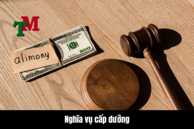 Khái niệm và cơ sở pháp lý của nghĩa vụ cấp dưỡng