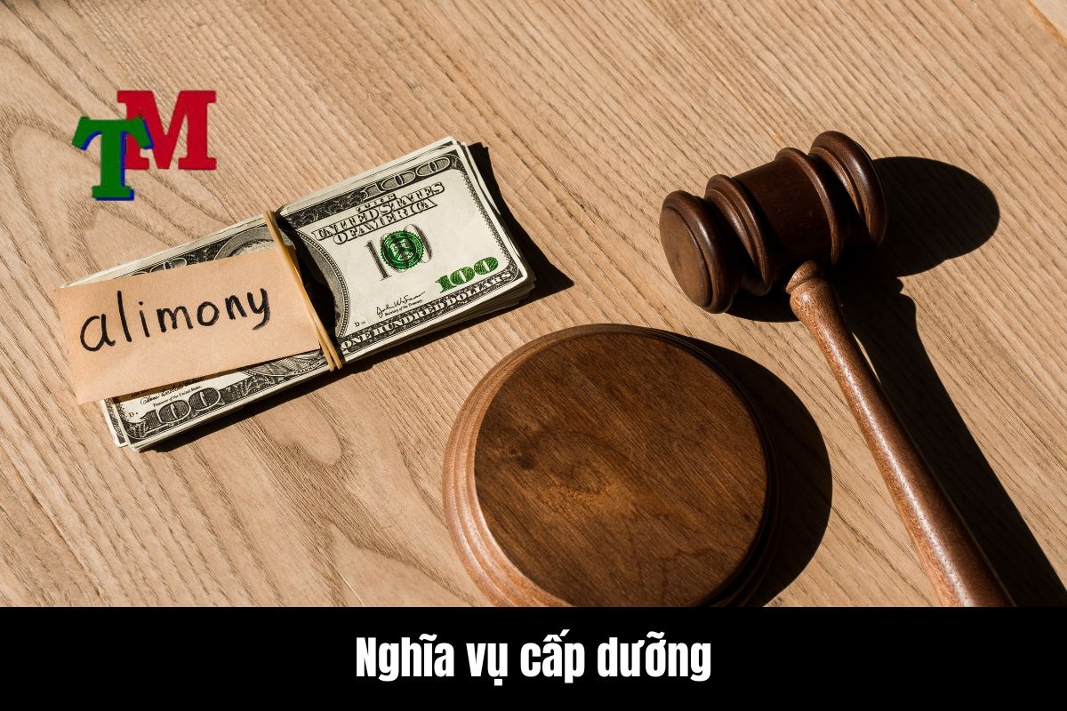 Khái niệm và cơ sở pháp lý của nghĩa vụ cấp dưỡng