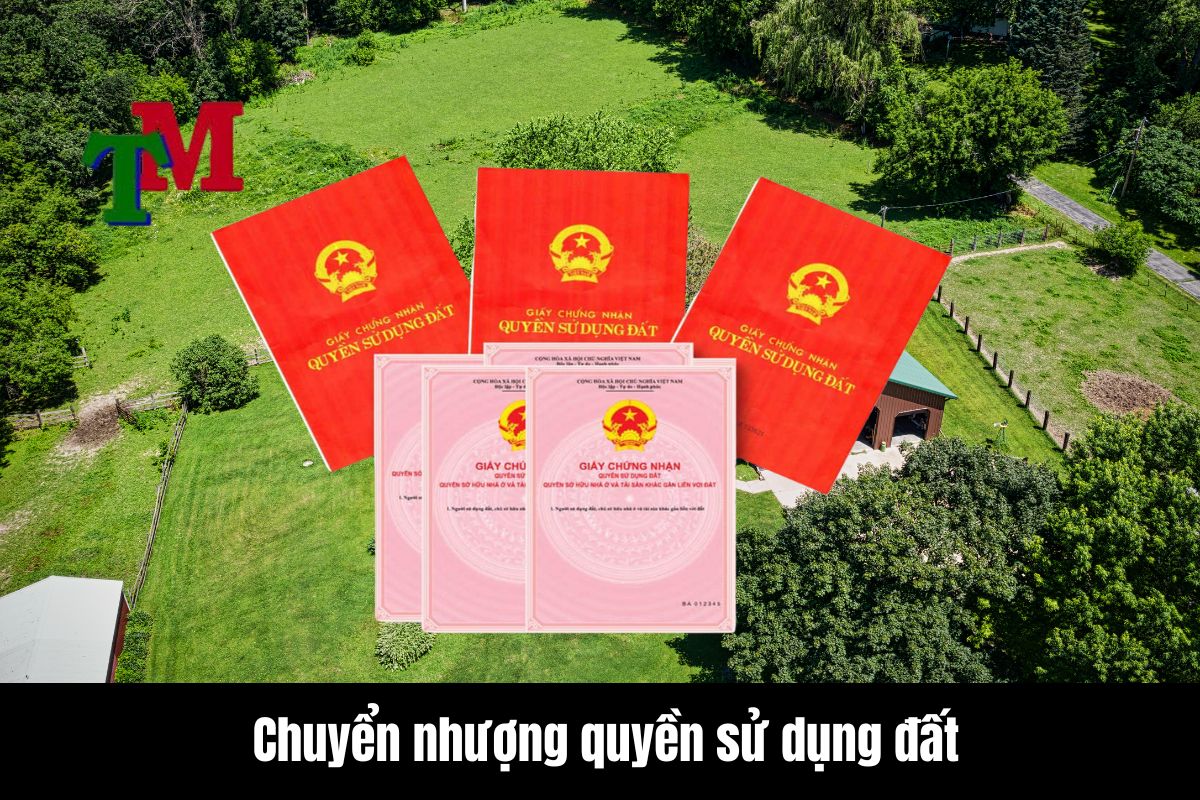 Khái niệm và ý nghĩa của chuyển nhượng quyền sử dụng đất