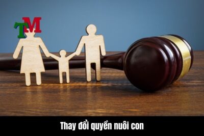 Khái niệm và ý nghĩa của thay đổi quyền nuôi con