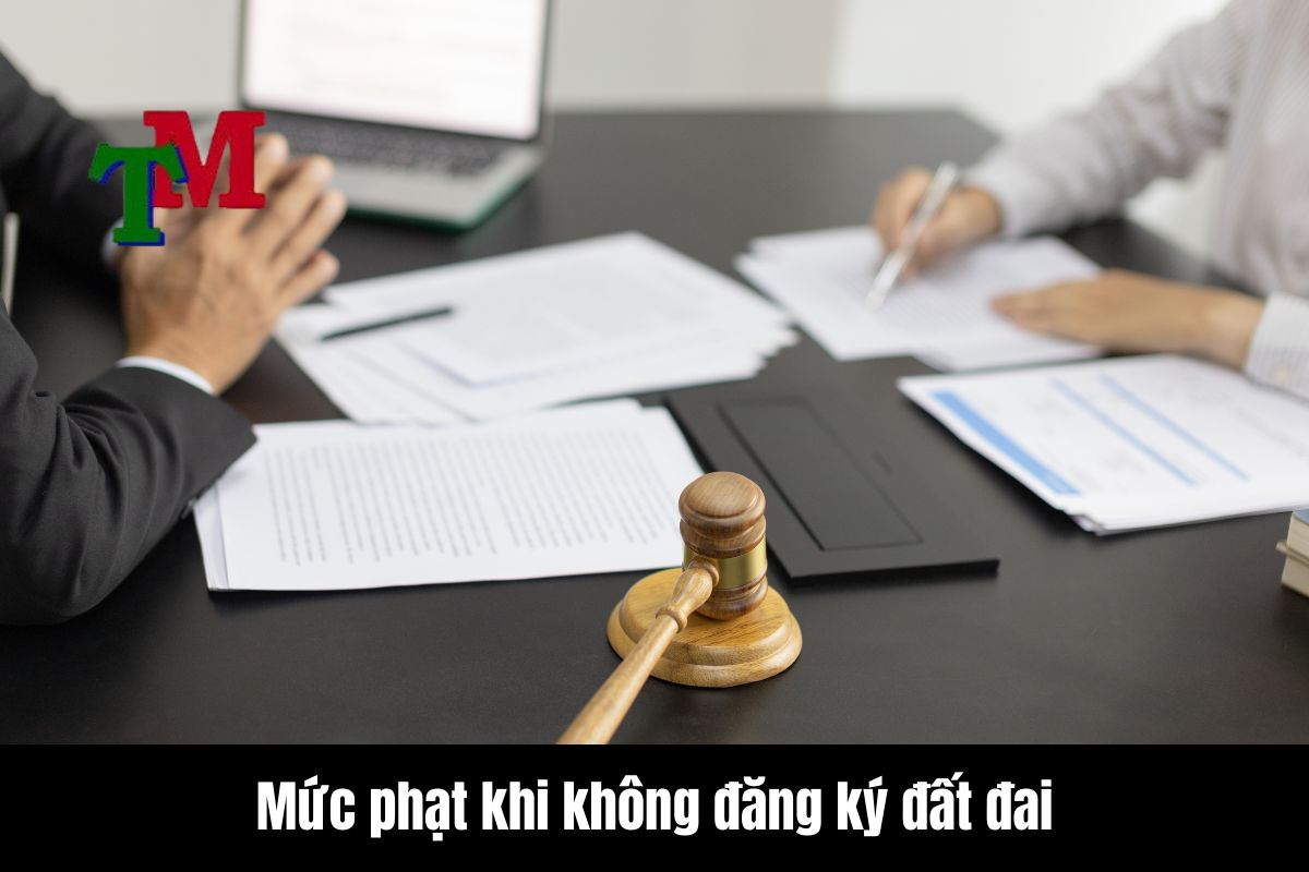 Đăng ký đất đai: Quy định pháp luật mới nhất 3 Không đăng ký có thể bị phạt bao nhiêu?