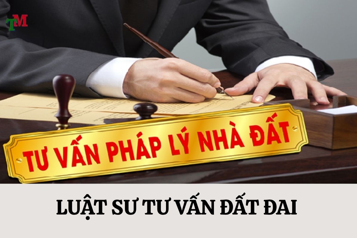 Luật sư vấn đất đai: Kim chỉ nam giữa mê cung pháp lý 1 LUAT SU TU VAN DAT DAI 2