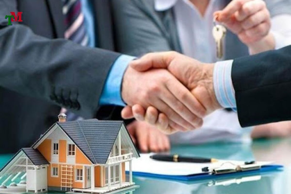 Luật sư vấn đất đai: Kim chỉ nam giữa mê cung pháp lý 2 LUAT SU TU VAN DAT DAI