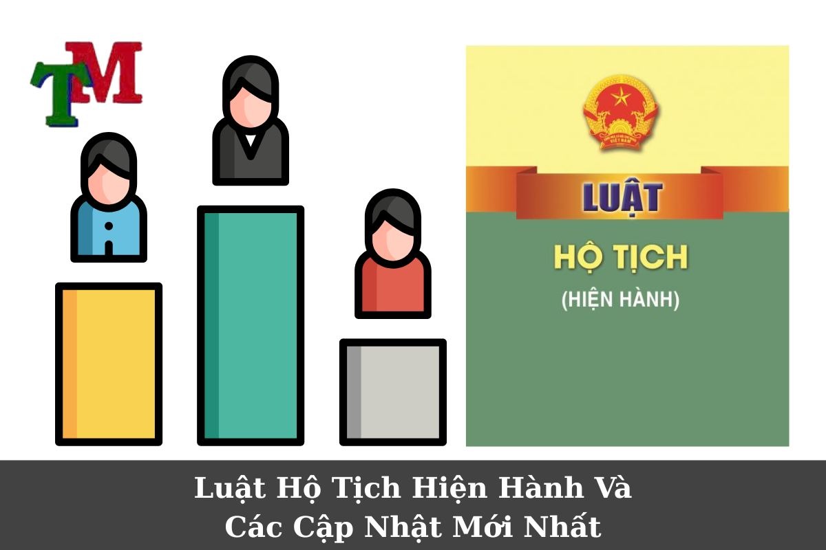 Thực Trạng Áp Dụng Luật Hộ Tịch Tại Việt Nam