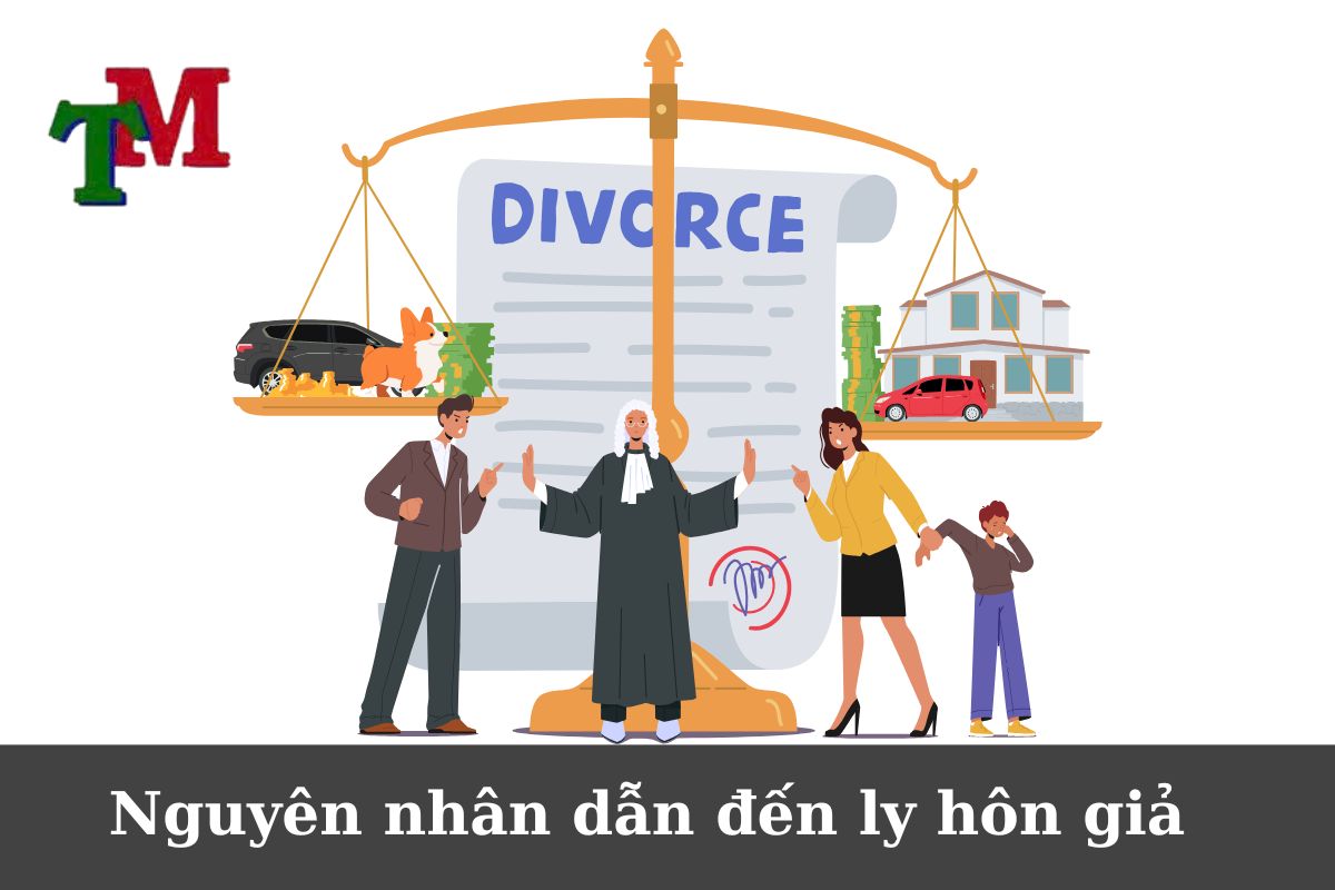 Nguyên nhân dẫn đến ly hôn giả