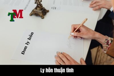 Ly hôn thuận tình là gì?