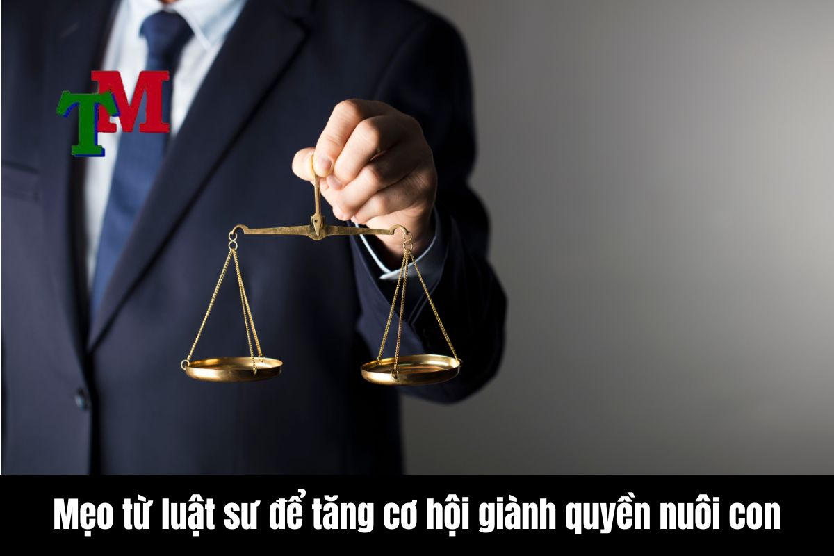 Mẹo từ luật sư để tăng cơ hội giành quyền nuôi con