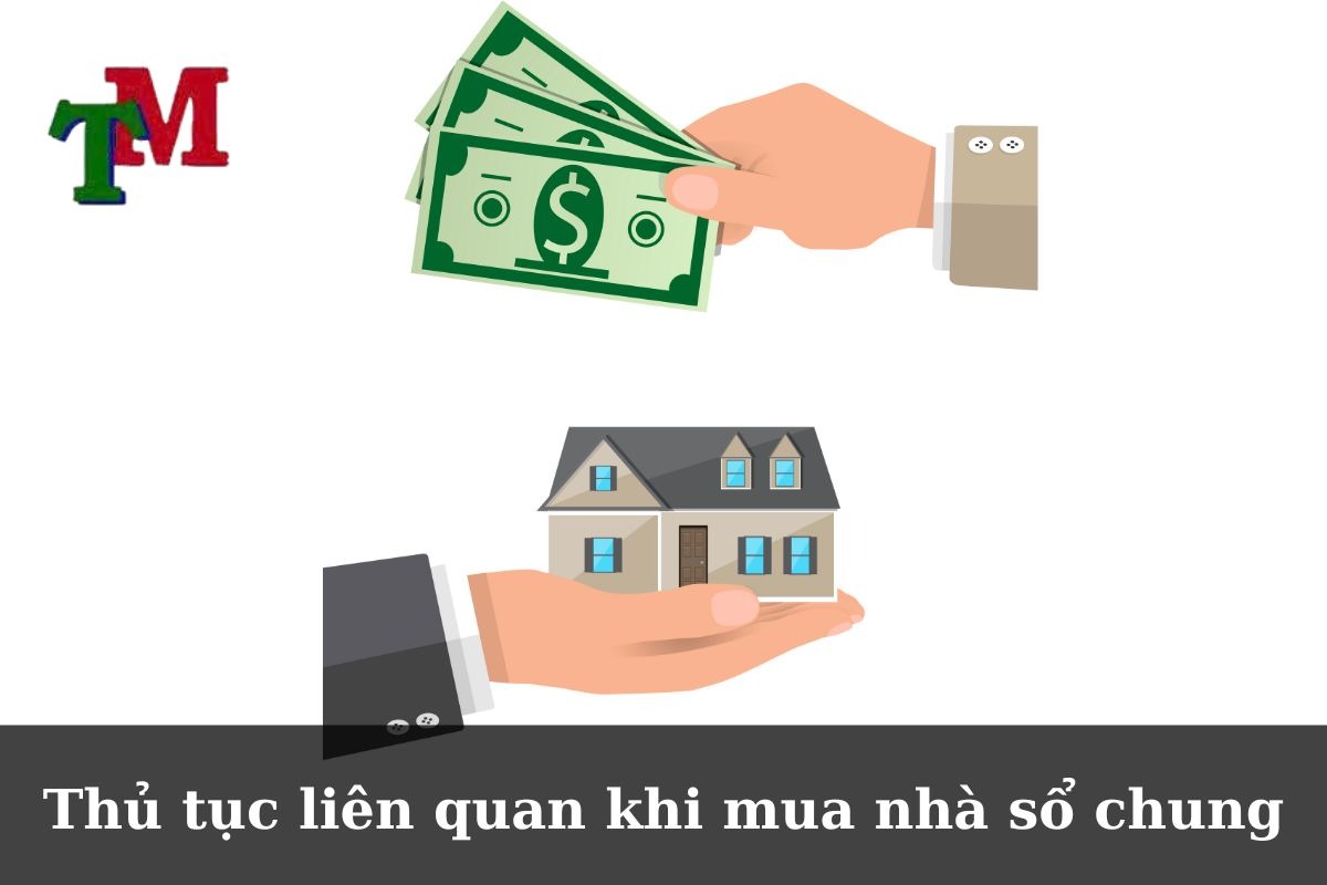 Mua nhà sổ chung: Rủi ro, lưu ý và tư vấn chuyên sâu với Luật Thiên Mã 3 Thủ tục liên quan khi mua nhà sổ chung